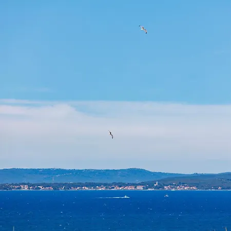 Apolonija Maison d'hôtes 3*