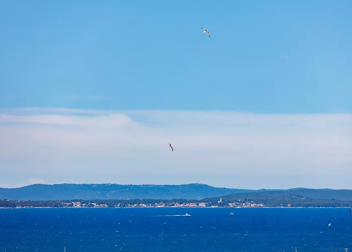 Apolonija Guest house 4*